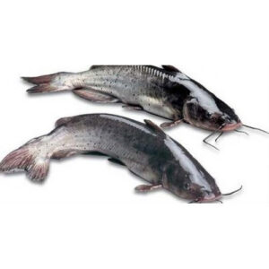 Cat Fish 500- 800G 2.25kg x 2 Bags