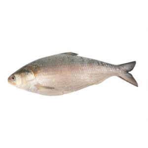 Crown Farm Hilsa Iqf Bumese 1000Gm+