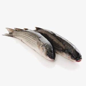 GREY MULL WHL GTD 1000G+