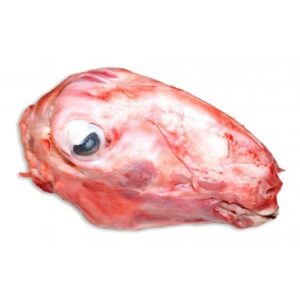 LAMB HEADS SKIN OFF (10 HEADS PER BOX)