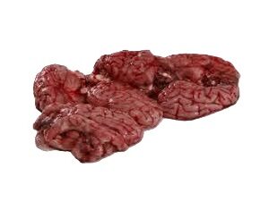 Lamb Brain 10x200g