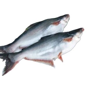 Pangash Whole Gutted 500g-800g 2 x 2.5kg bags