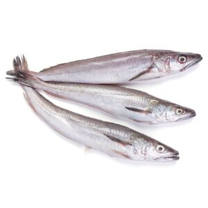 SILVER HAKE 1500-2000G