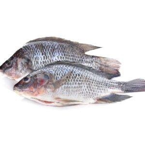 TILAPIA WHOLE GUTTED 2000G+ 1X10KG