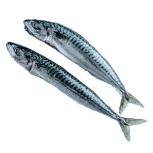 Whole Mackeral 300g-500g 20KG