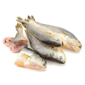 YELLOW CROAKER 800g-1200g 2x3KG