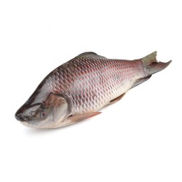 C/F ROHU IQF BURMESE 3KG+