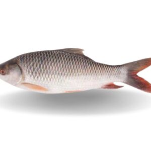 ROHU IQF BURMESE 5KG+