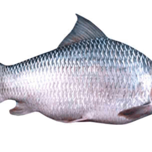 CF MIRGAL IQF BURMESE 3KG +