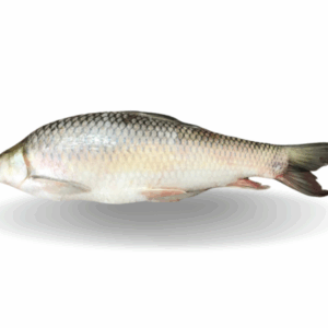 C/F Mirgal IQF Burmese 4KG+