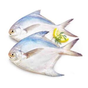 SILVER POMFRET (100-200) 20x500g (AQUA)